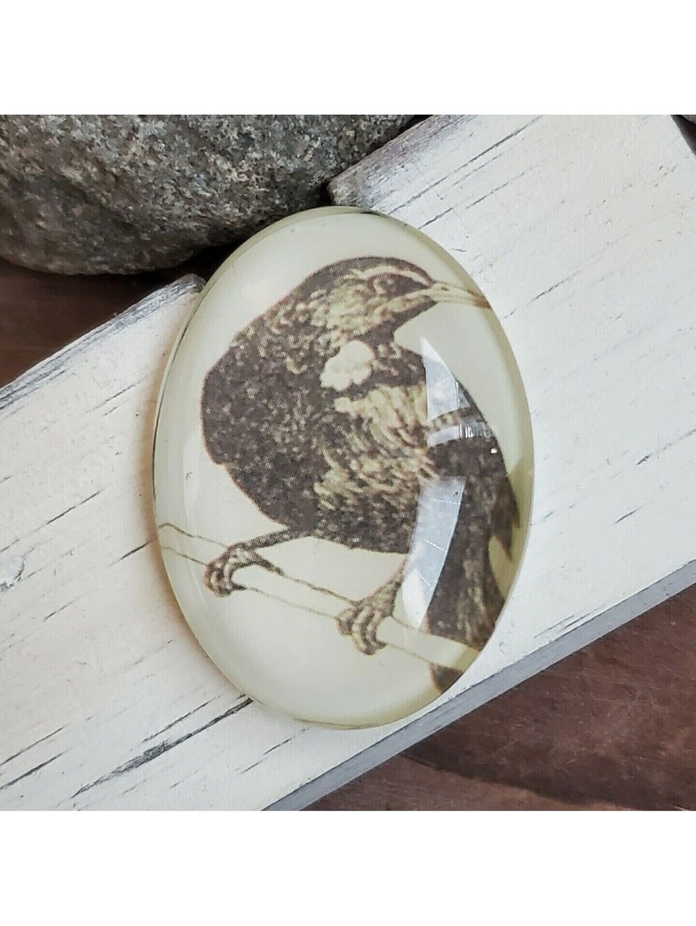 Edgar Allan Poe The Raven Victorian Gothic Bird Glass Oval Cabochon 40x30mm